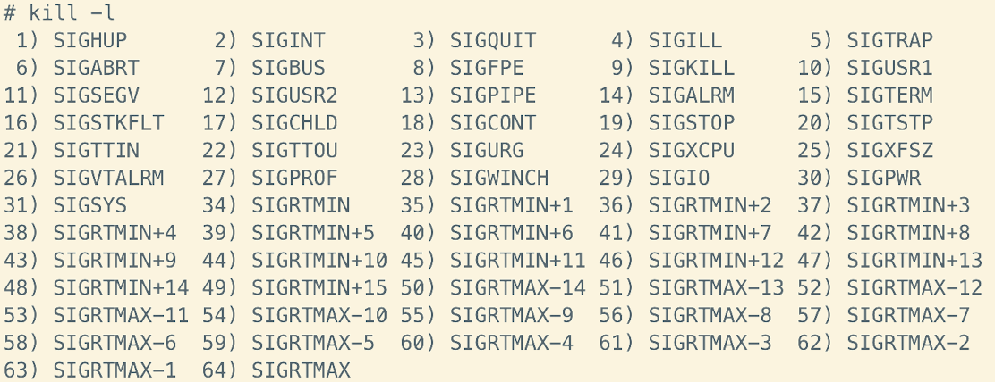 image-20250206233455373